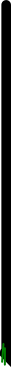 wp63b56328.png